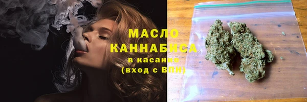 крисы Елабуга
