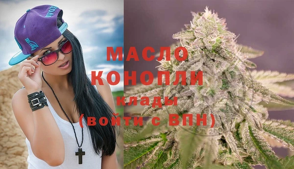 крисы Елабуга