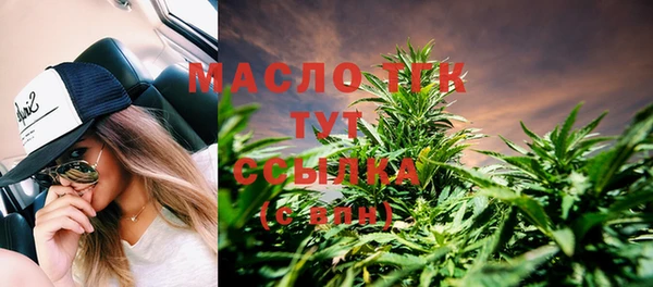 крисы Елабуга