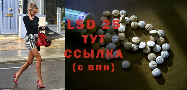 крисы Елабуга