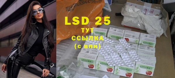 крисы Елабуга