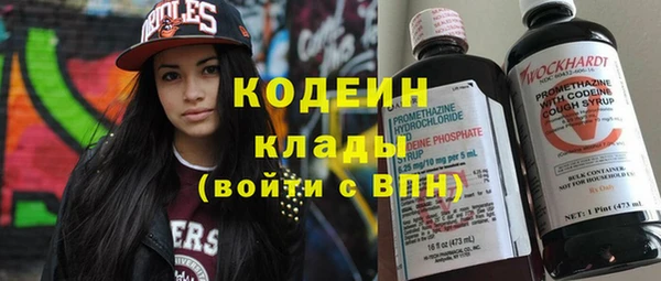 крисы Елабуга