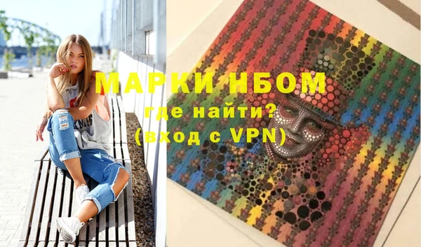 крисы Елабуга