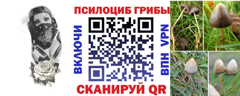 блэк спрут ссылка  Среднеколымск  Псилоцибиновые грибы MAGIC MUSHROOMS  купить наркоту 